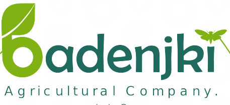 Badenjki